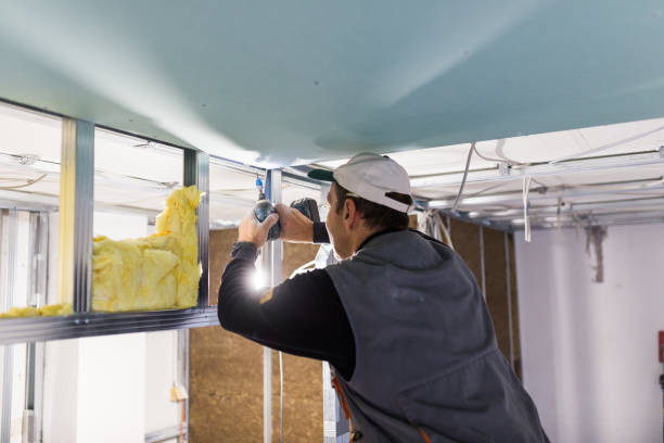 Best Insulation for Specific Applications in , SC